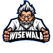 WiseWala Web Design